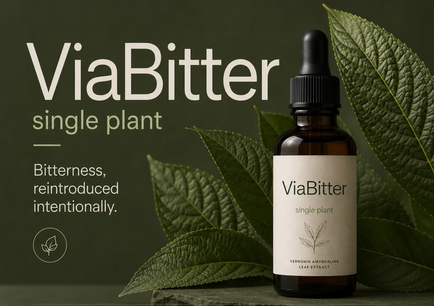 ViaBitter bitter drops — close-up of amber dropper bottle with Vernonia amygdalina leaves on dark olive stone